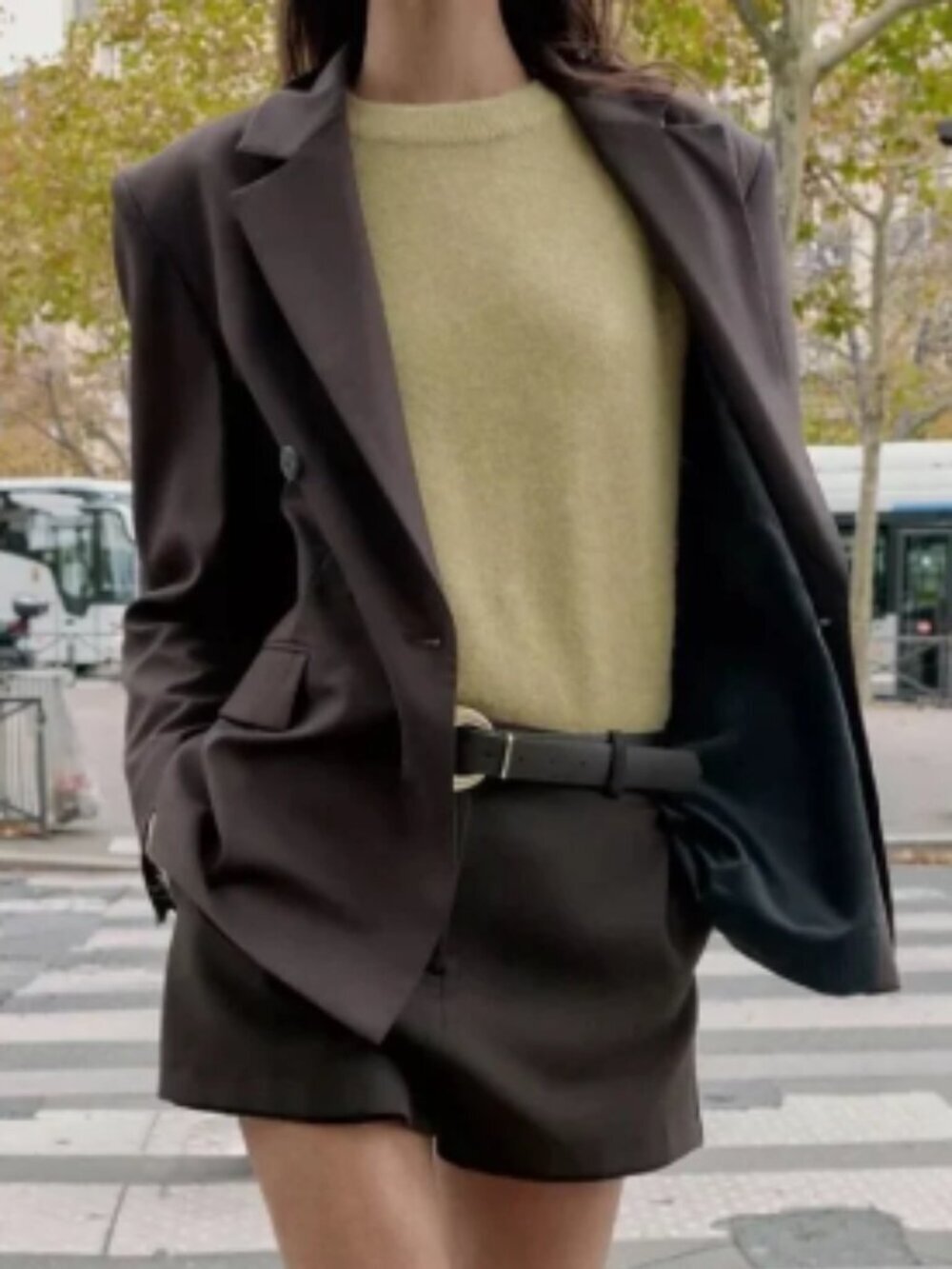 NWT Zara Oversized Double Breasted Blazer Dark Brown Small - Picture 2 of 7